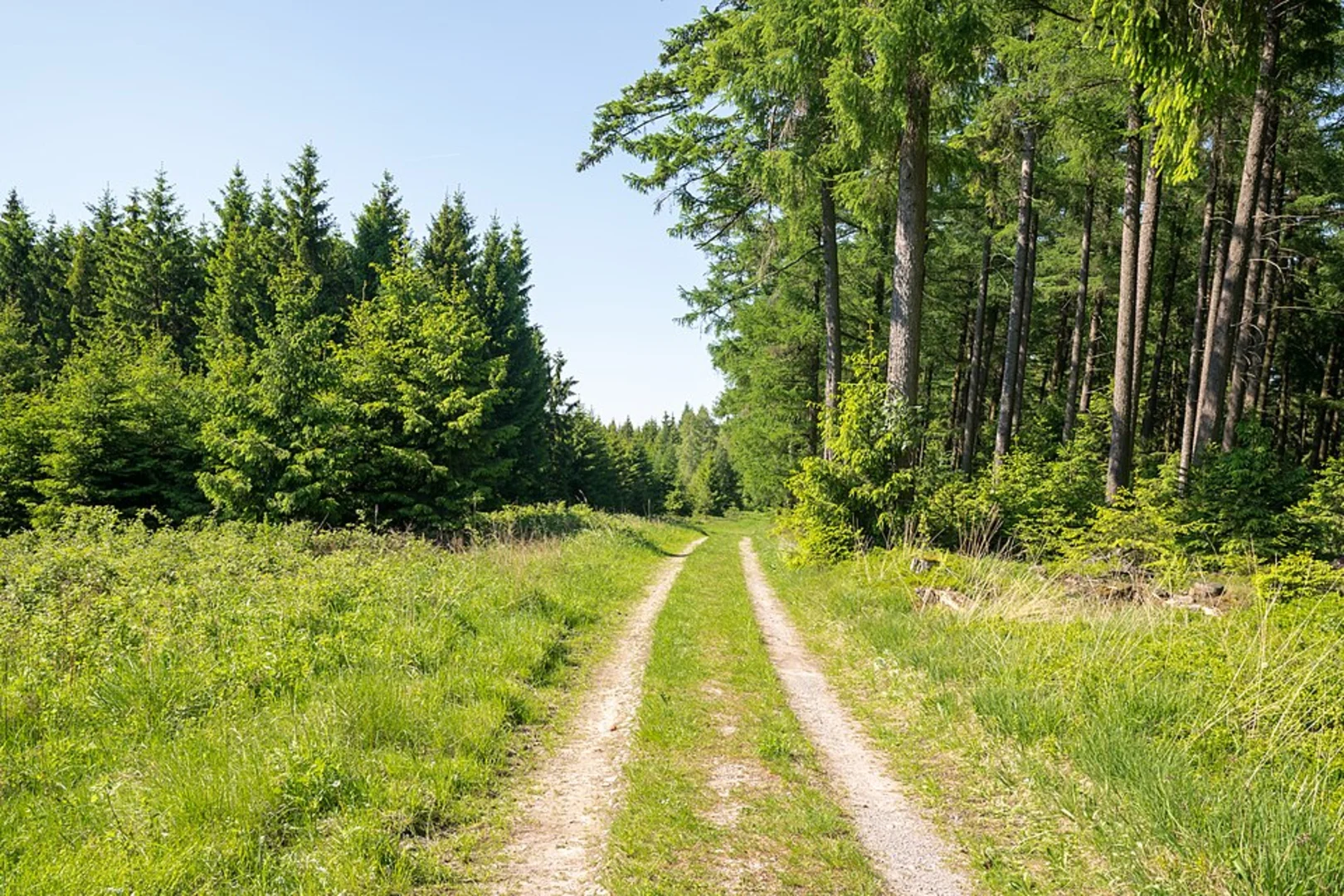 An image depicting the trail Hitgenheierweg and its surrounding area.