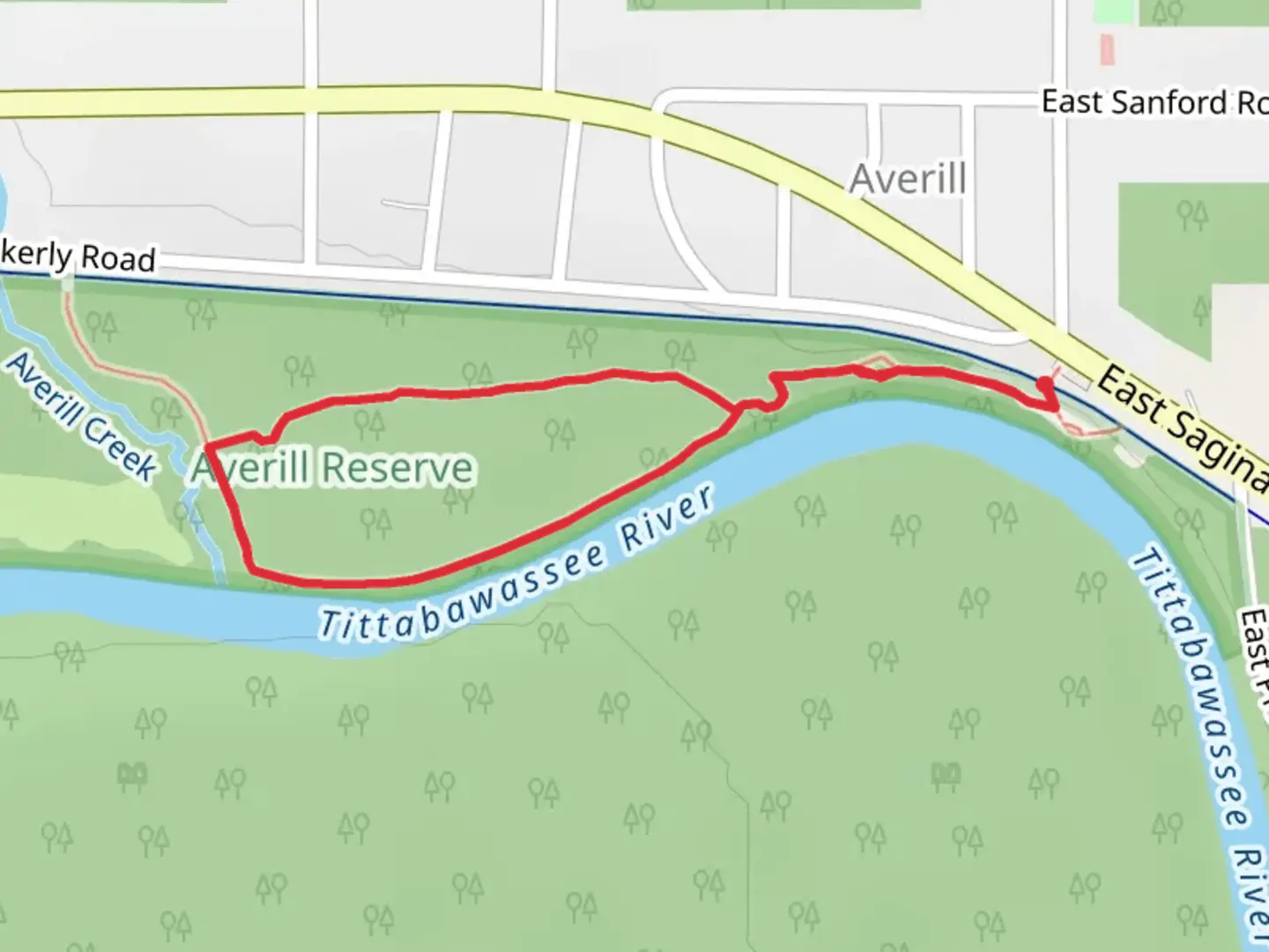 An image depicting the trail Tittabawassee River Loop and its surrounding area.
