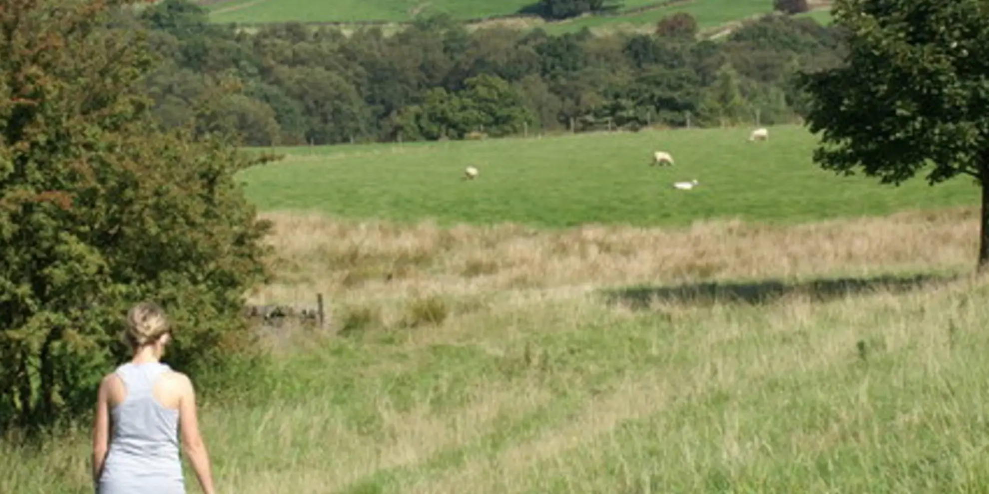 An image depicting the trail Pott Shrigley along Gritstone Way - Brink Brow and Harrop Wood and its surrounding area.