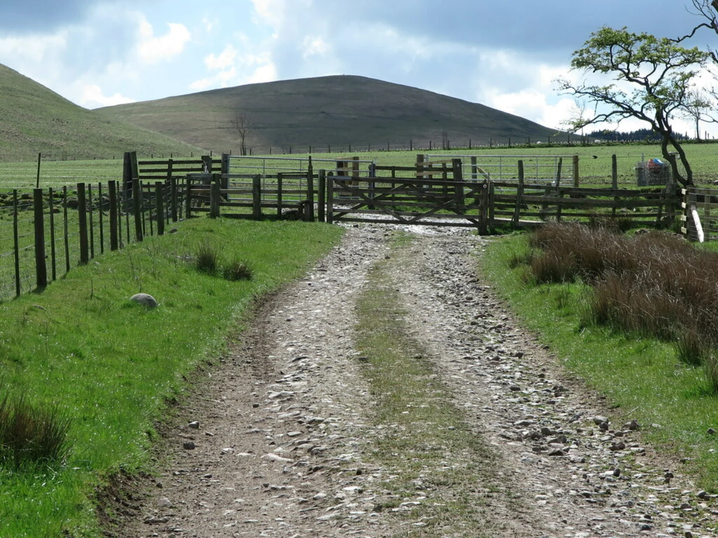 An image depicting the trail Brandon to Ingram Loop via Cochrane Pike and its surrounding area.