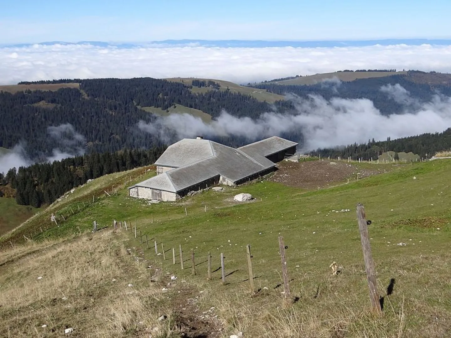 An image depicting the trail Sentier de la crête du Moléson and its surrounding area.