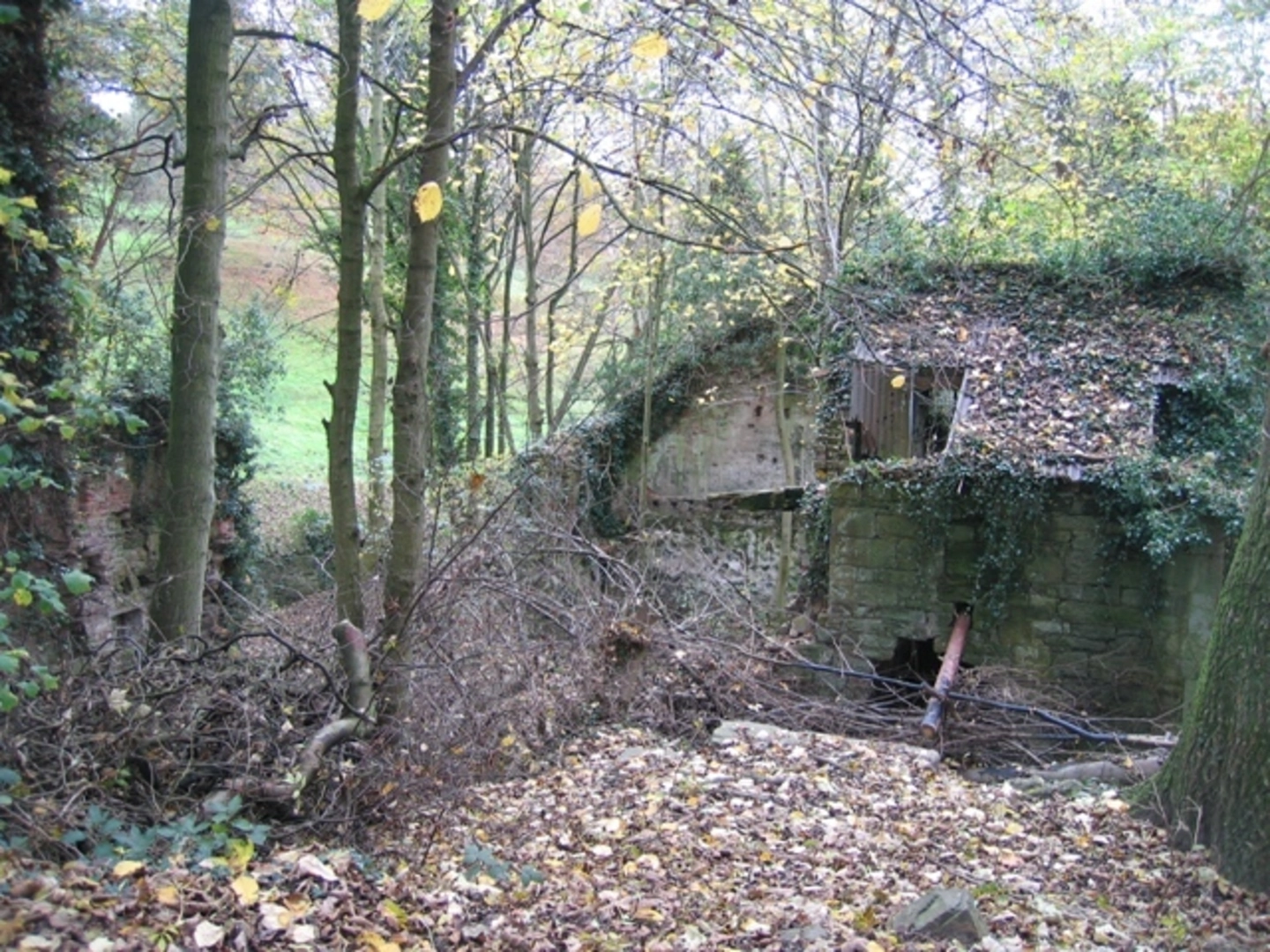 An image depicting the trail Hawarden Castle Loop and its surrounding area.