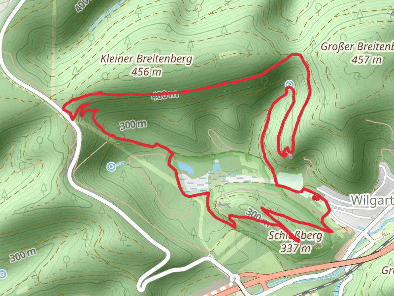 Bergfried and Wasgaublick Loop via Rundweg Wilgartswiewen