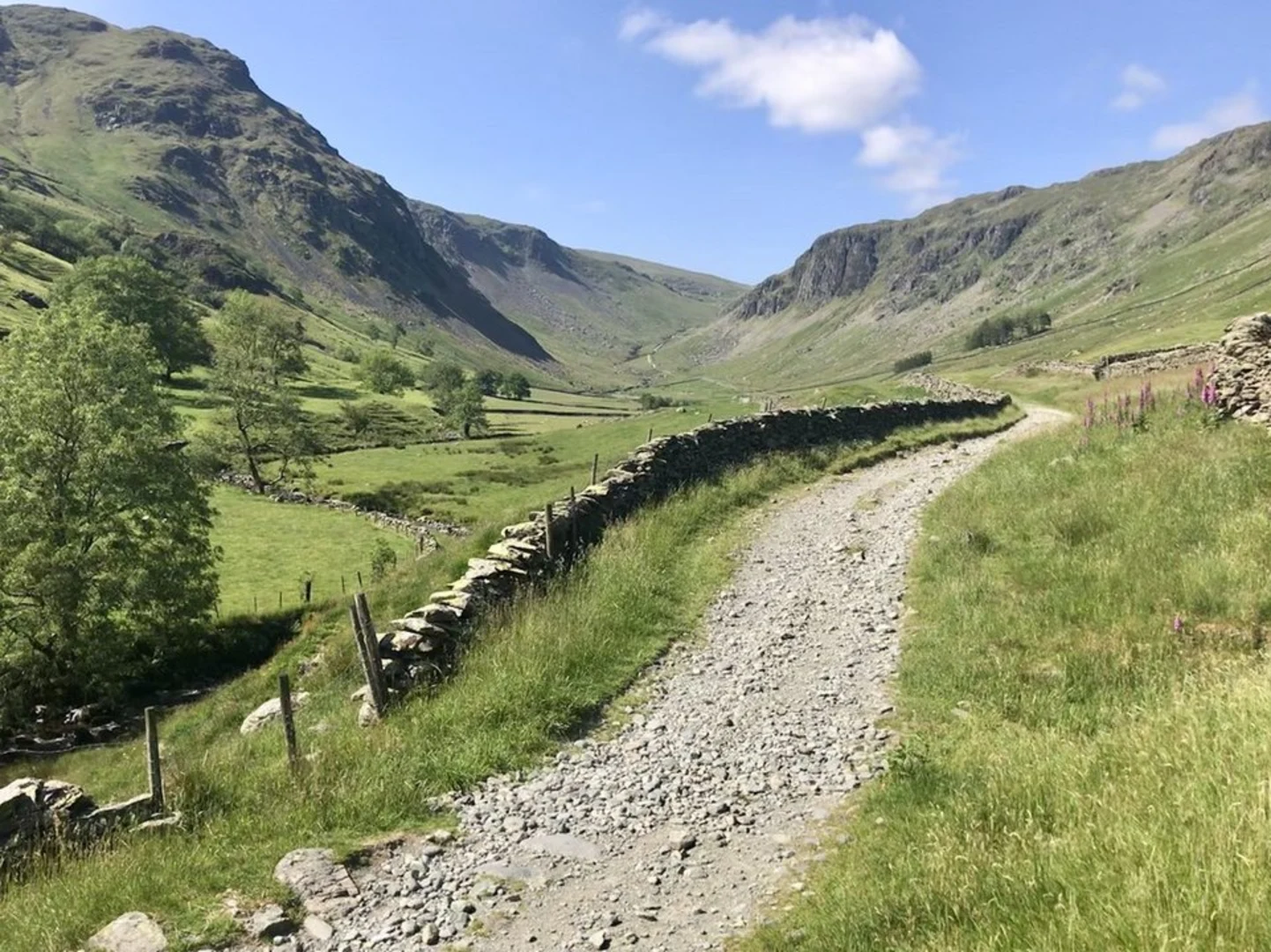 An image depicting the trail Tarn Crag - Sleddale and its surrounding area.