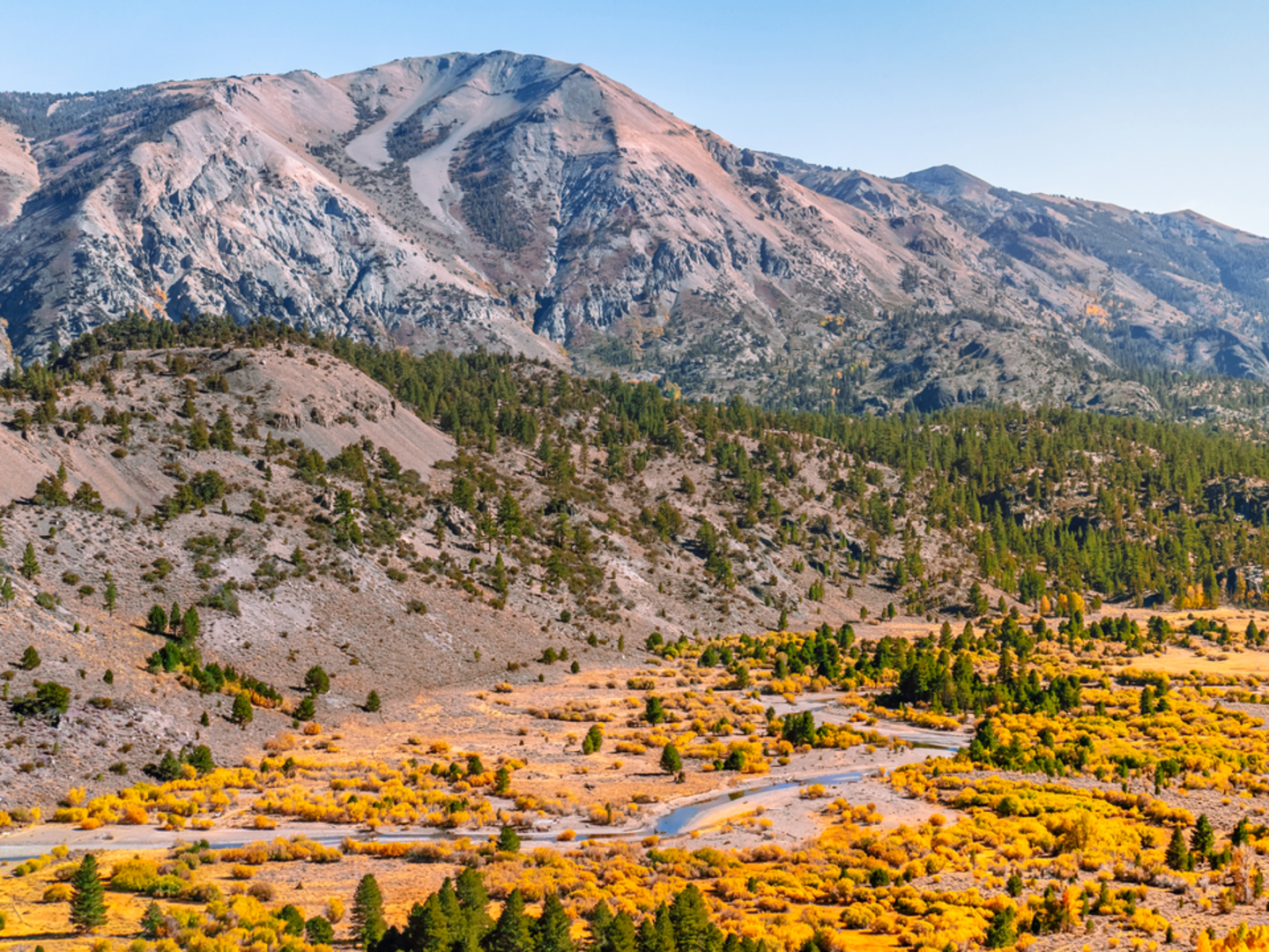 An image depicting the trail West Walker River Trail and its surrounding area.