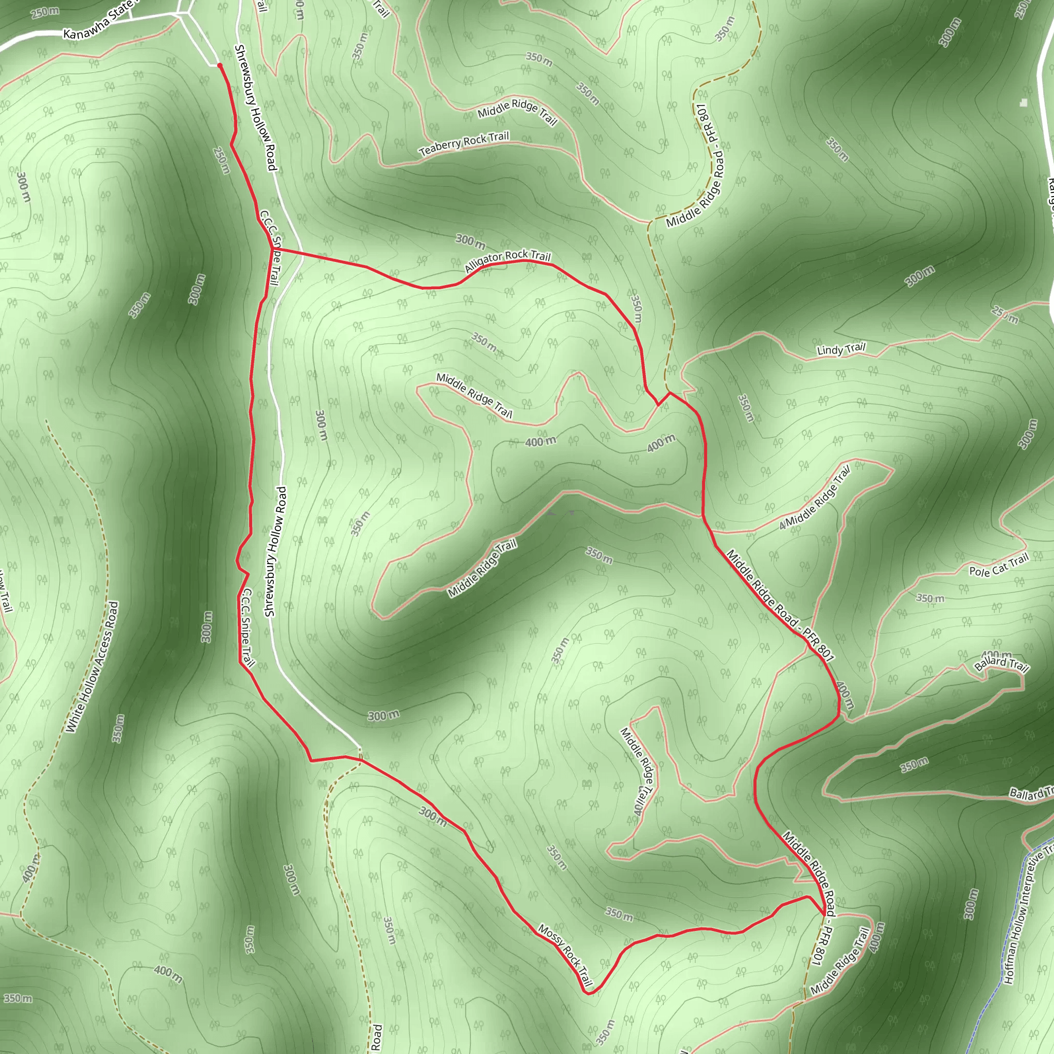 CCC Snipe, Mossy Rock and Alligator Rock Loop Trail mobile static map