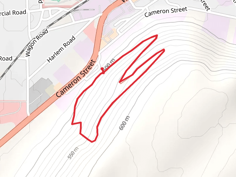 Cameron Street Loop