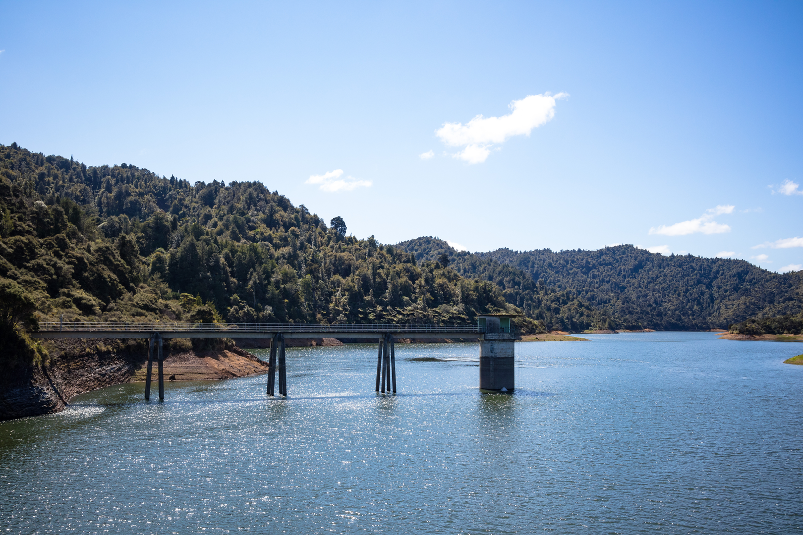 An image depicting the trail Suspension Bridge Loop and its surrounding area.
