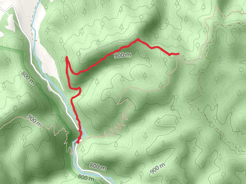 Trail Boss Trail