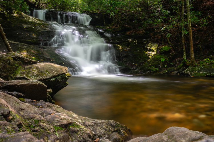 Big Laurel Falls Trail