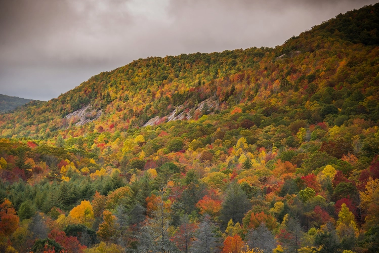 Granny Burrell, Frolictown and Wilderness Falls via Panthertown Valley Trail