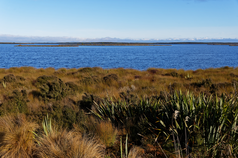 Waituna Lagoon Track