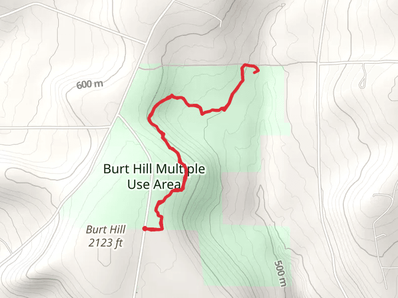 Burt Hill Road Trail - Northeast