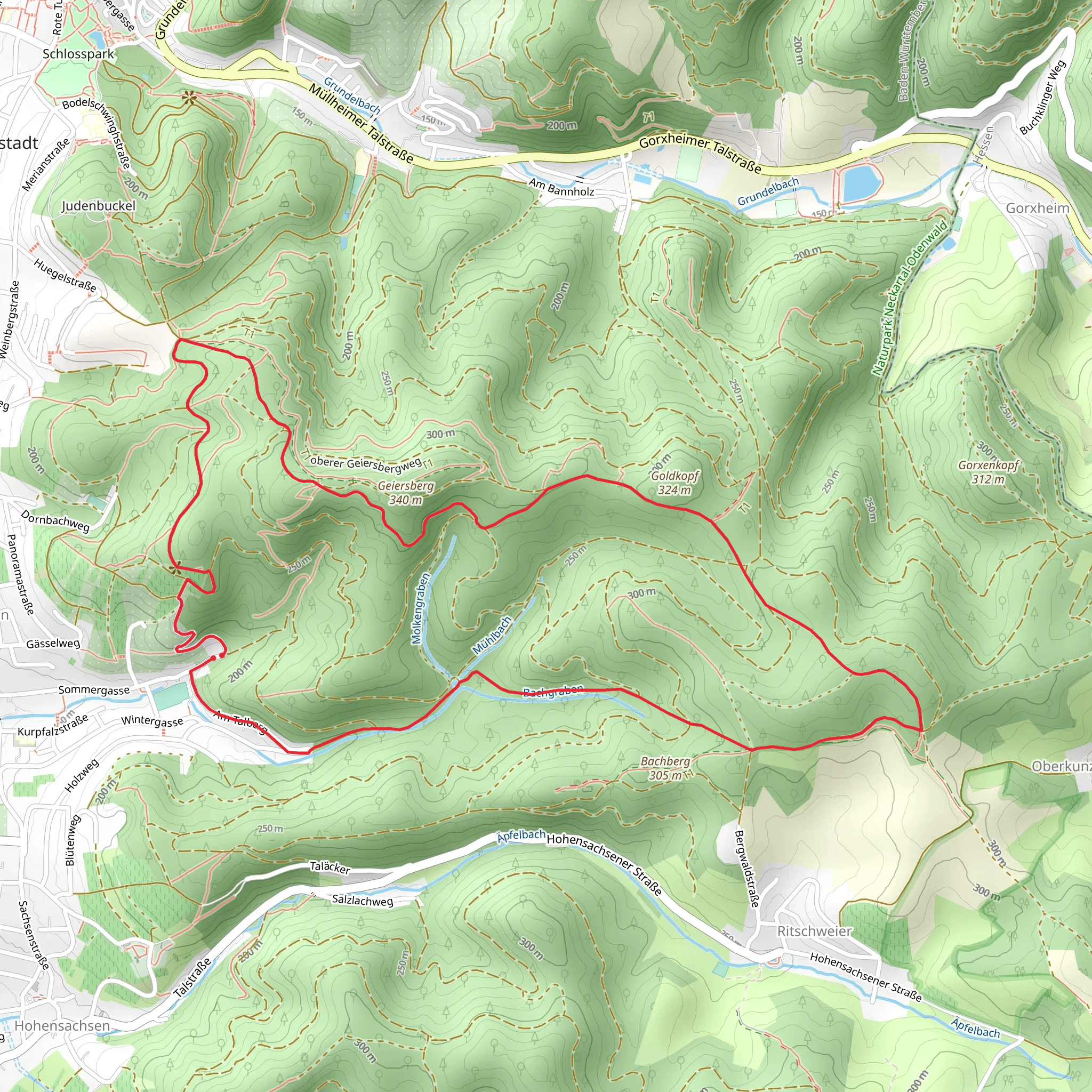 Lützelsachsen Loop mobile static map