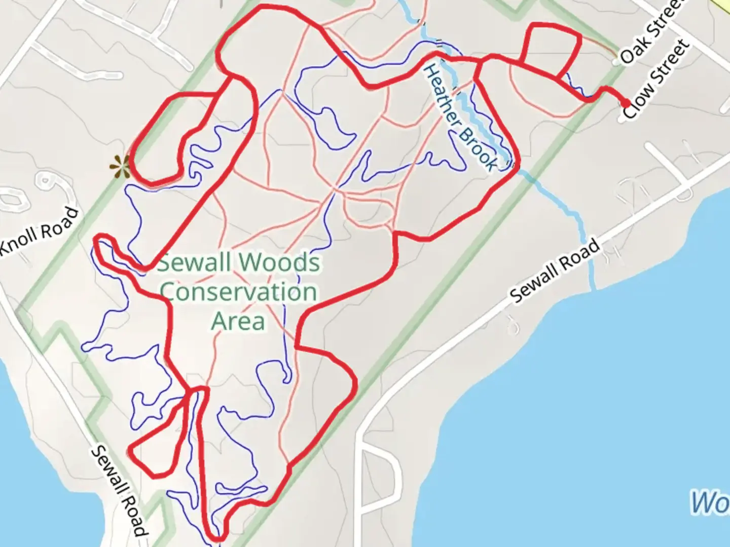 An image depicting the trail Jockey Cove and Wolfboro Bay Loop and its surrounding area.