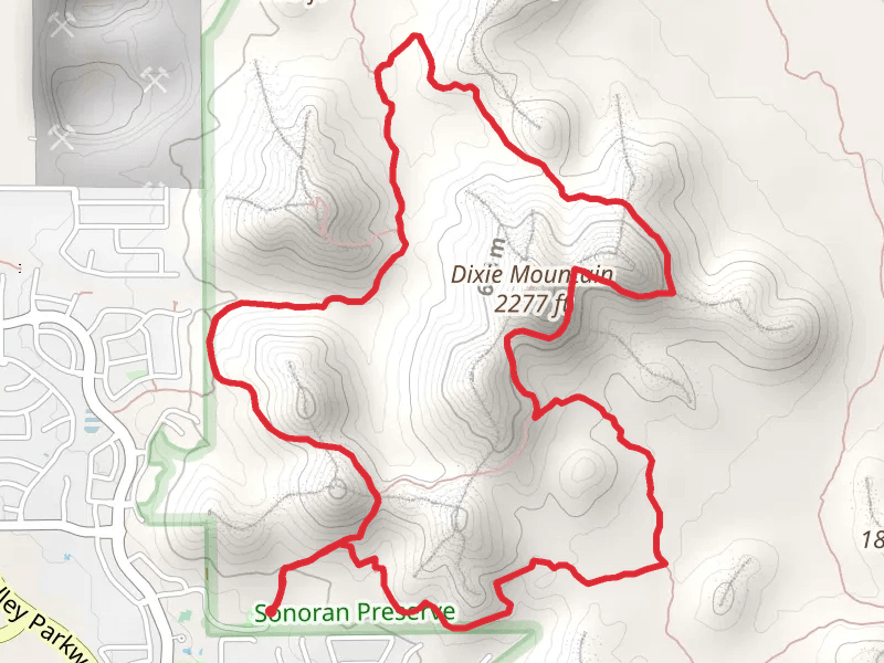 Desert Tortoise, Dixie Mountain and Hawk's Nest Loop Trail