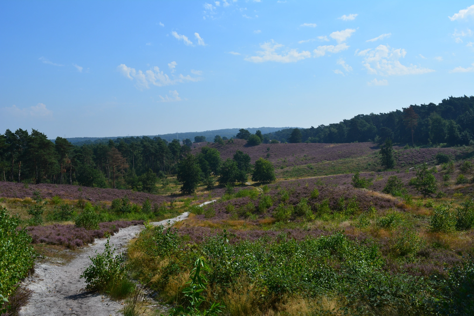 An image depicting the trail Brunssummerheide and Teverener Heide Loop and its surrounding area.