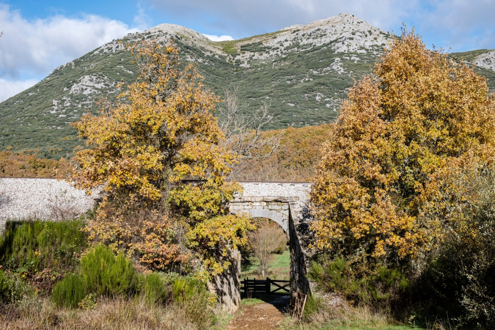 An image depicting the trail Path of the Tejeda de Tosande PR P 3 and its surrounding area.