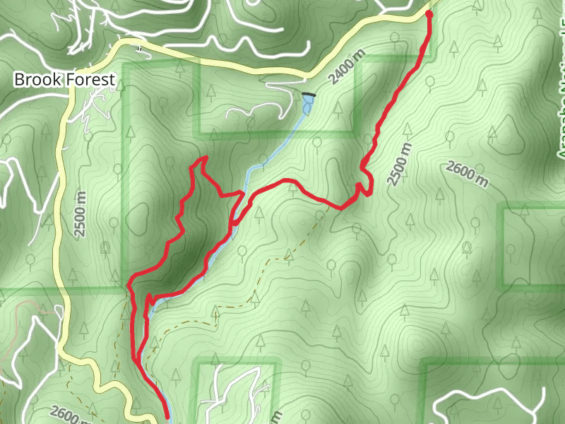 Maxwell Falls Loop Trail - South Brook Forest Road
