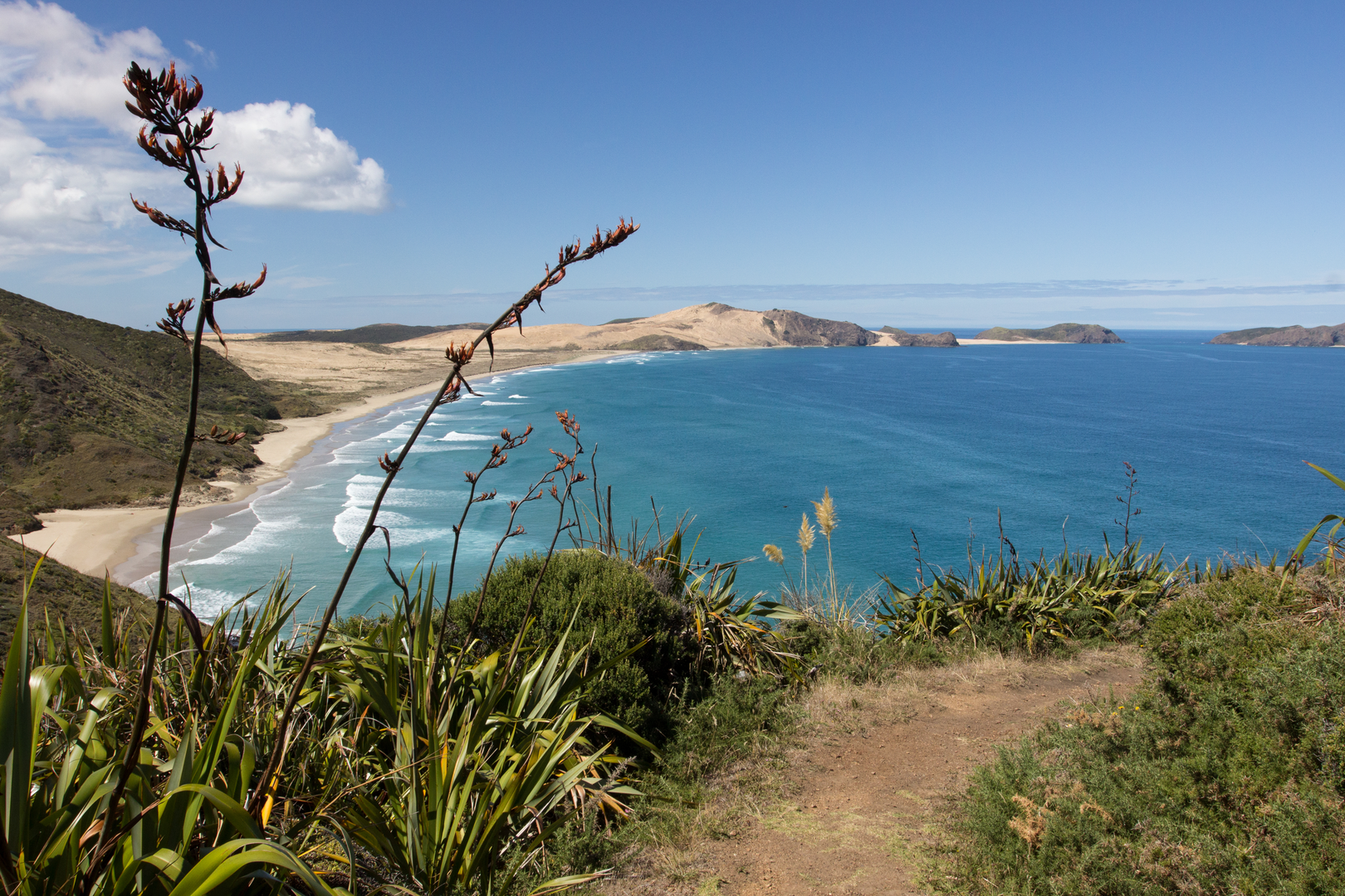 An image depicting the trail Te Werahi Track and its surrounding area.