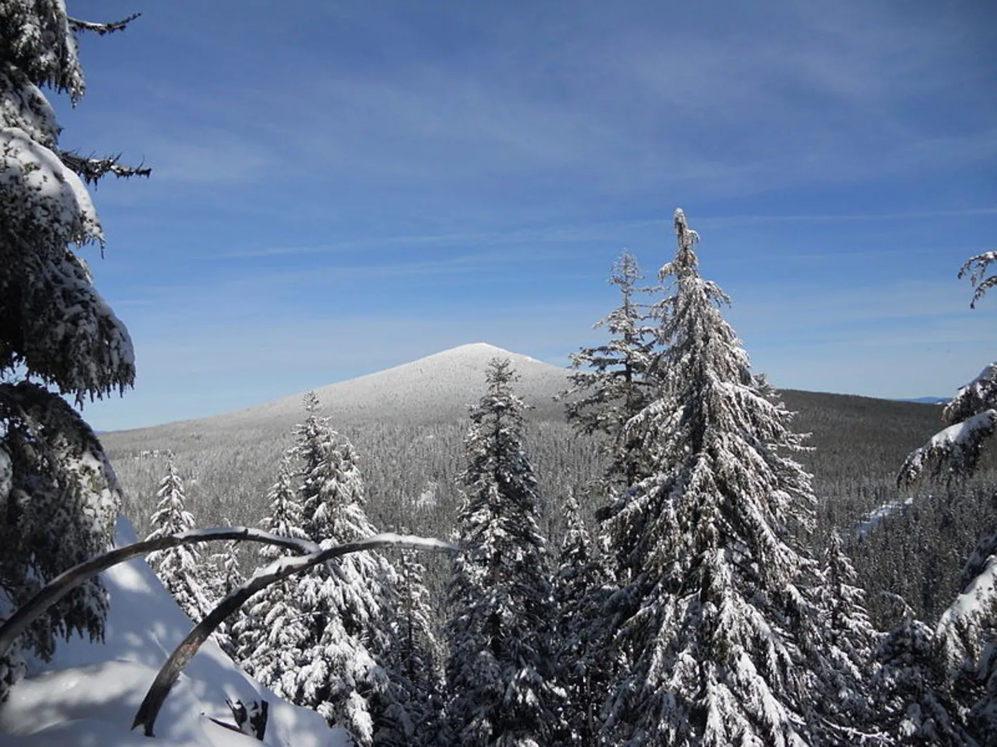 An image depicting the trail Maiden Peak Trail and its surrounding area.