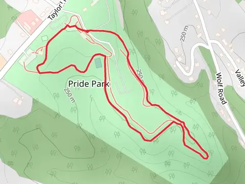 Pride Park Loop
