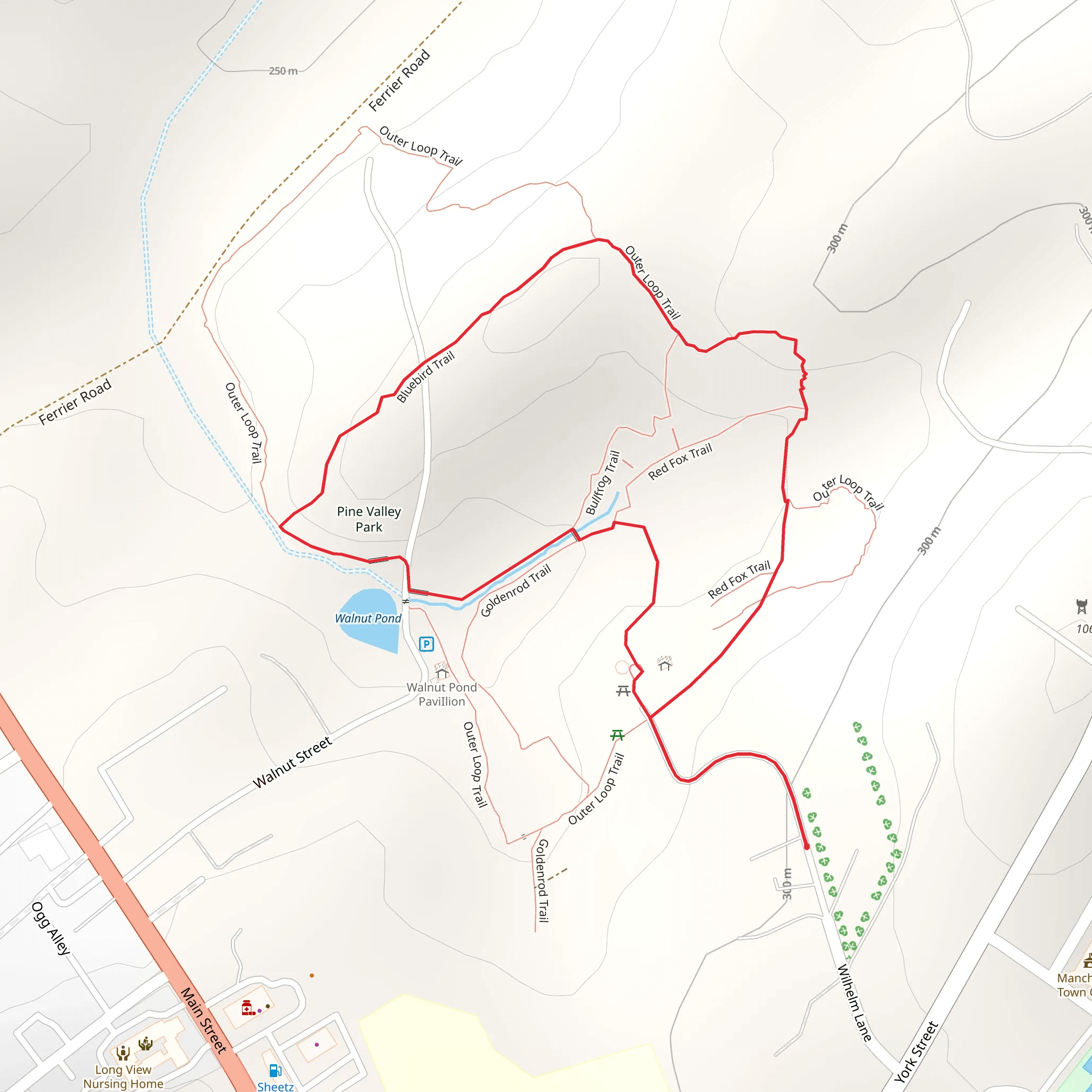 Bluebird Loop Trail mobile static map