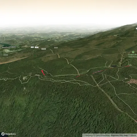 Libor Trail