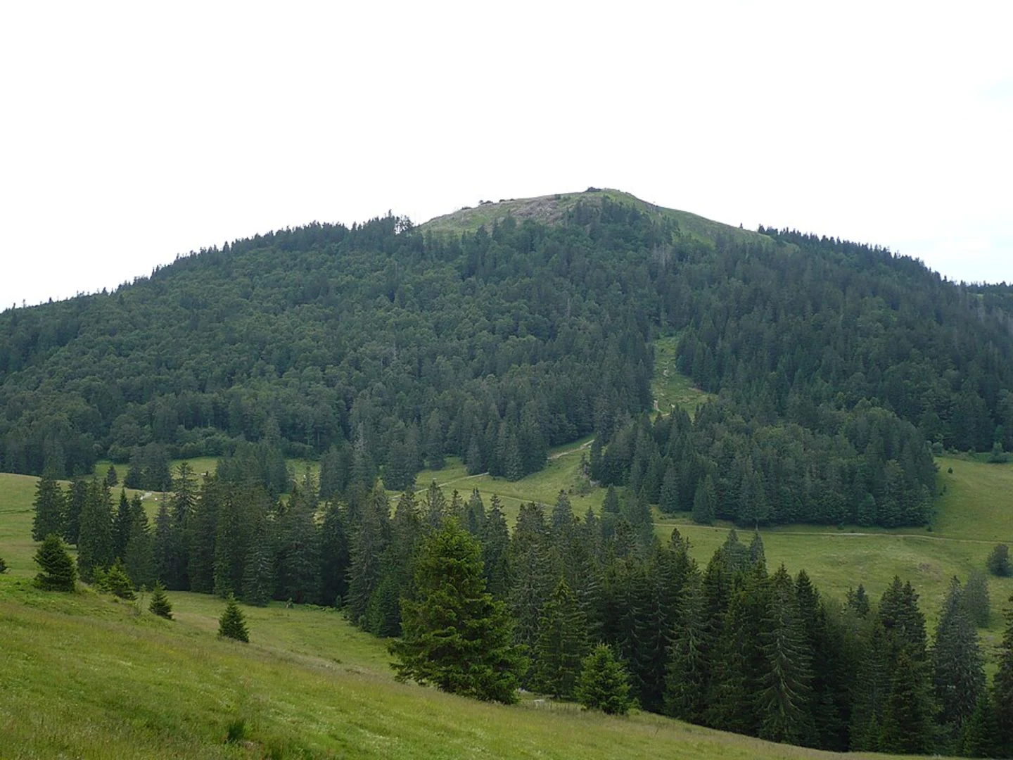 An image depicting the trail Herzogenhorn via Westweg and its surrounding area.