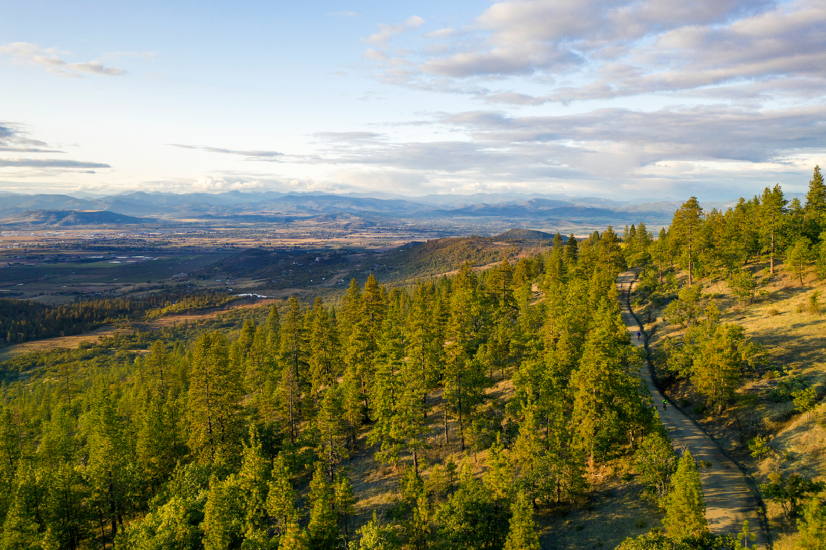 An image depicting the trail Roxy Ann Peak Loop and its surrounding area.
