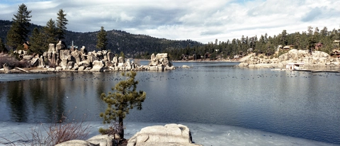 Woodland Interpretive Loop Trail