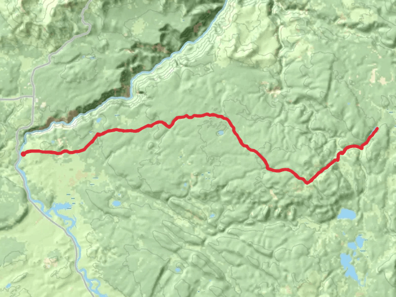 Wapiti Lake Trail