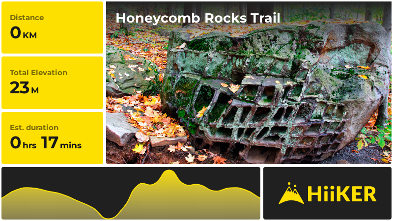 Honeycomb Rocks Trail | Pocahontas County | West Virginia