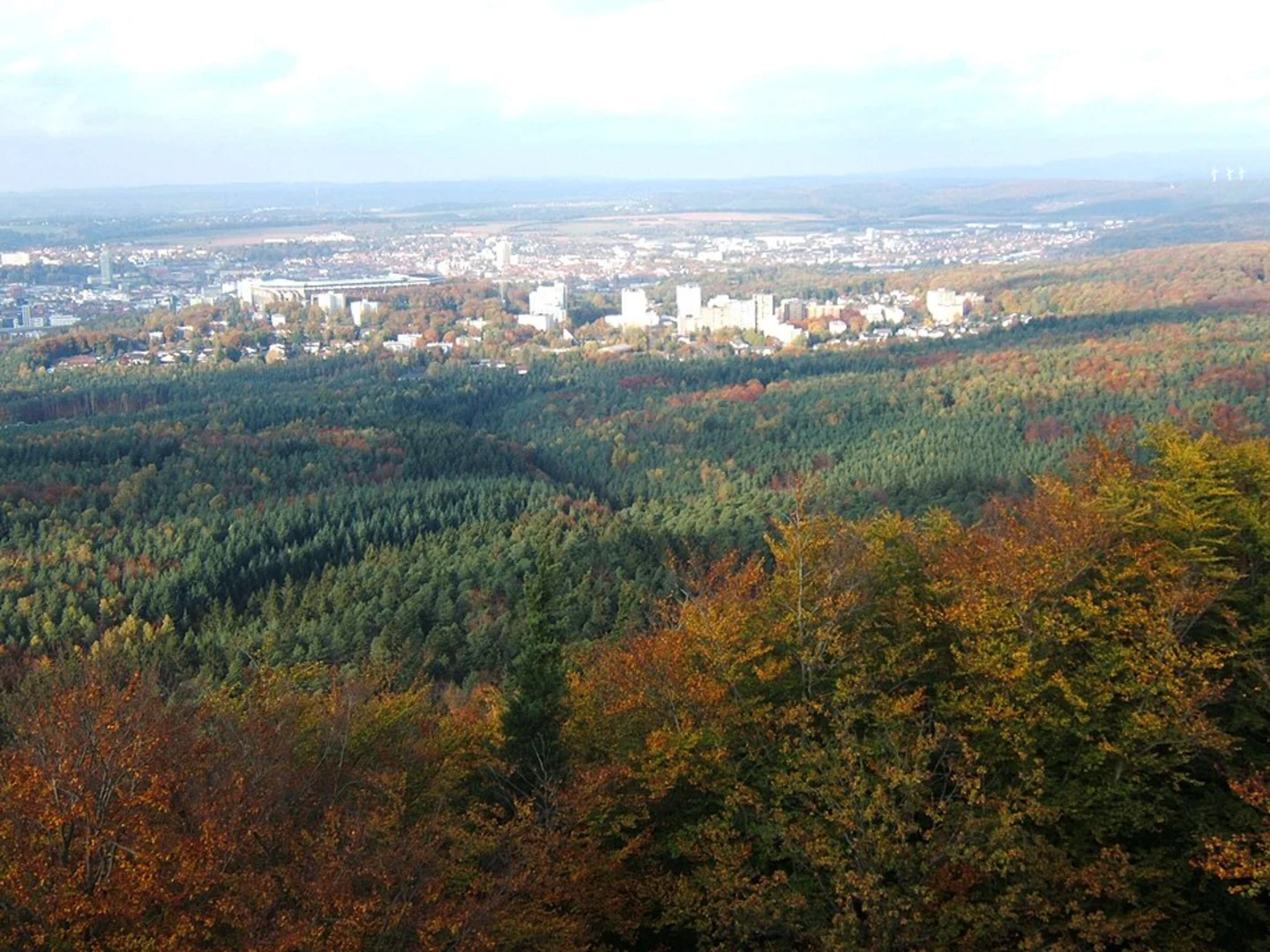 An image depicting the trail Hambergturm via Pfaelzer Waldpfad and its surrounding area.