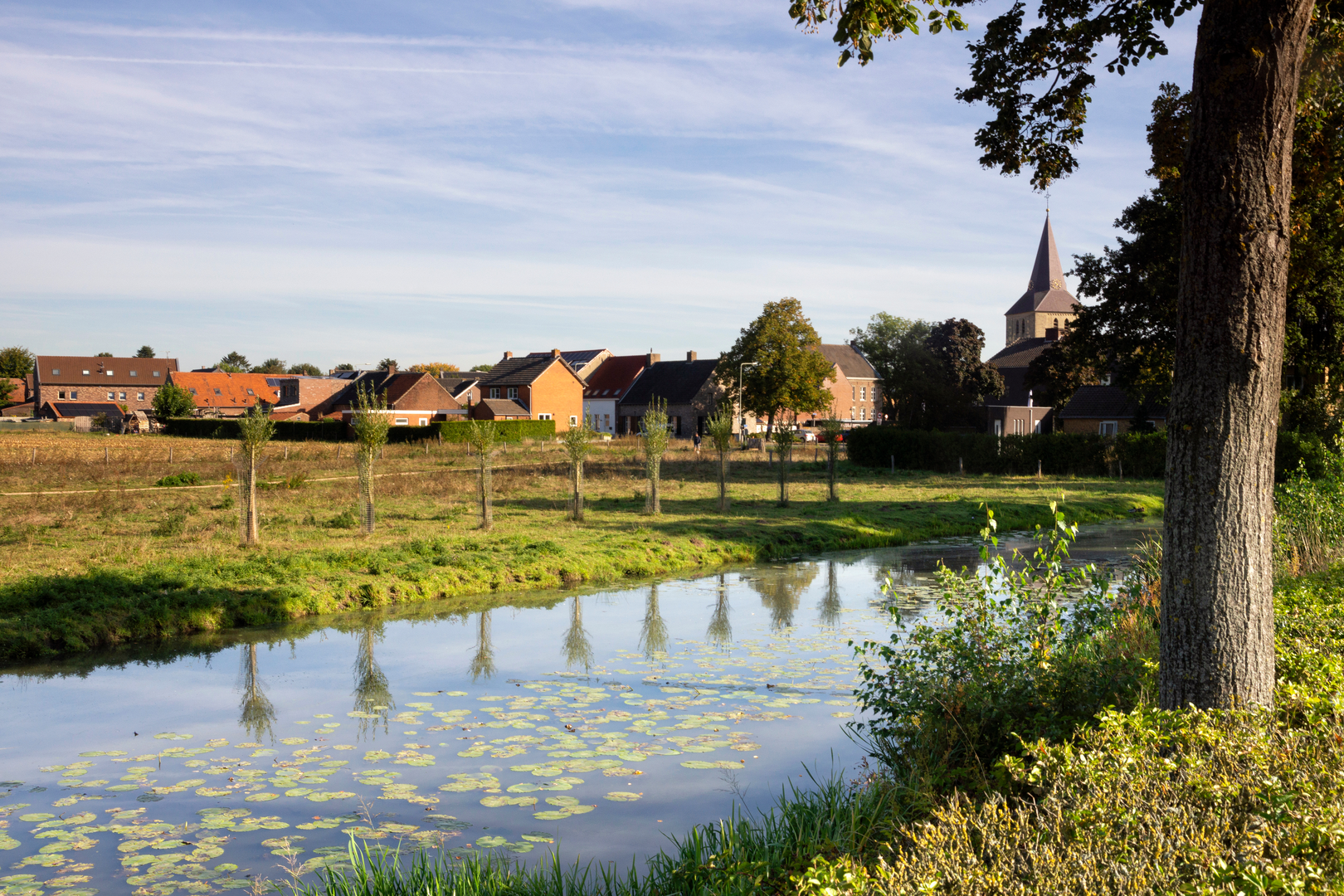 An image depicting the trail De Lange Vlieter, Keverbroek, Ophovense Zandberg and Leudal Loop and its surrounding area.