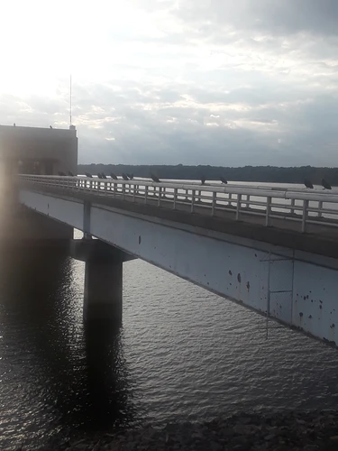 Michael J Kirwan Reservoir - Along the Dam