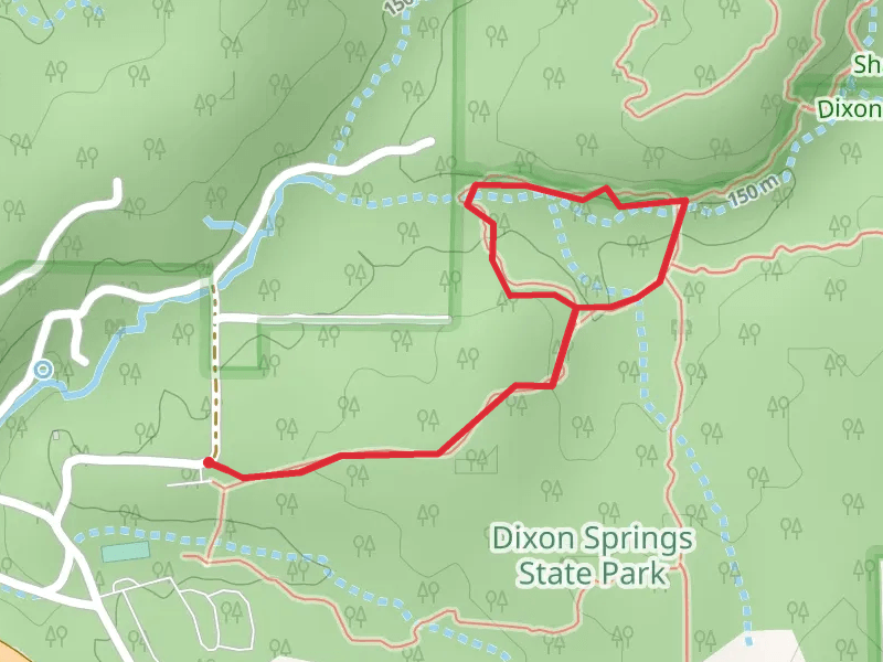 Pine Tree Trail