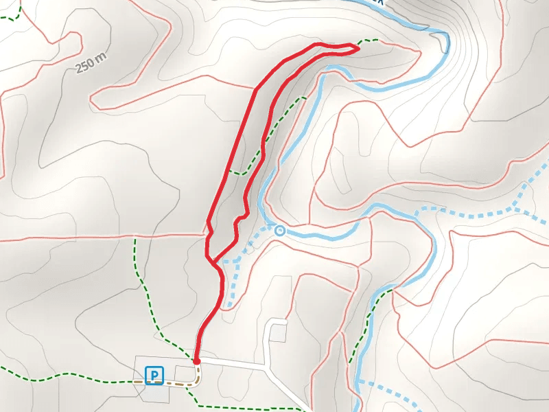 Chinquapin Loop Trail