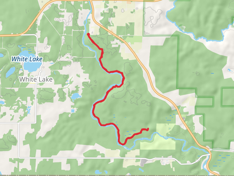 Wolf River Trail