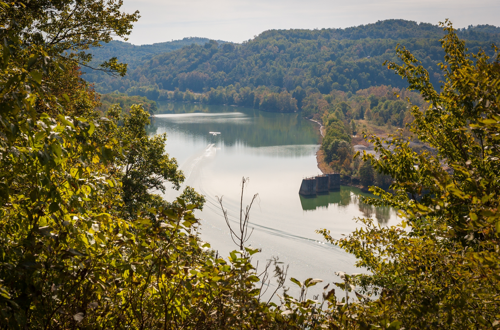 An image depicting the trail Sophia's Grave and Sophia's Pond via Main Loop Trail and its surrounding area.