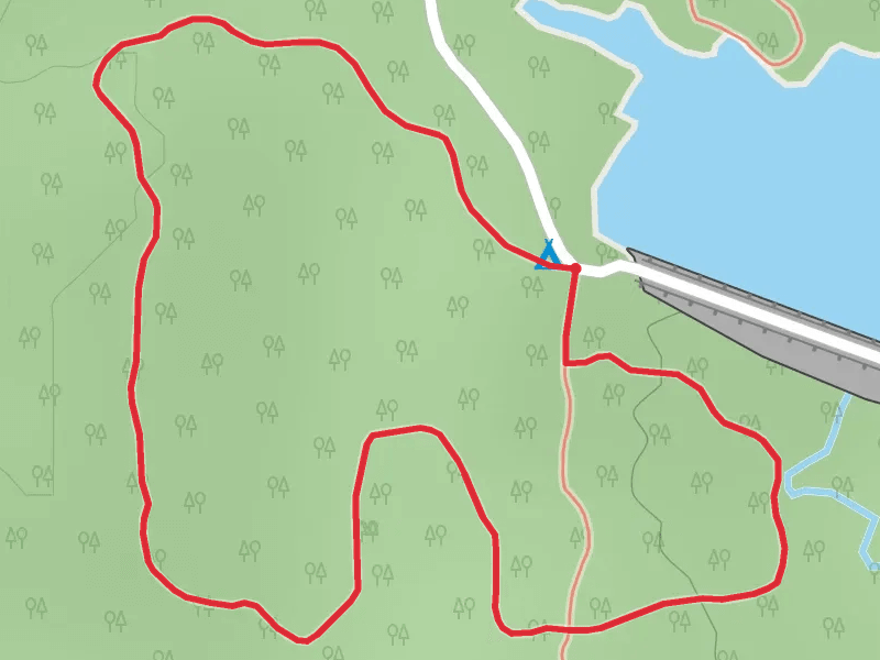 Dawson Lake Southwest Shore Loop