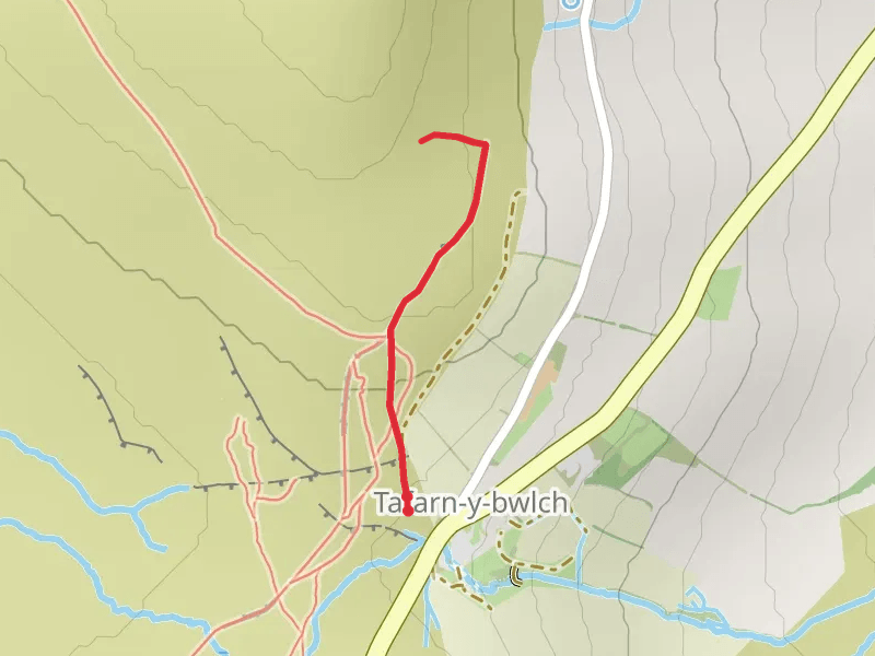 Waun Mawn