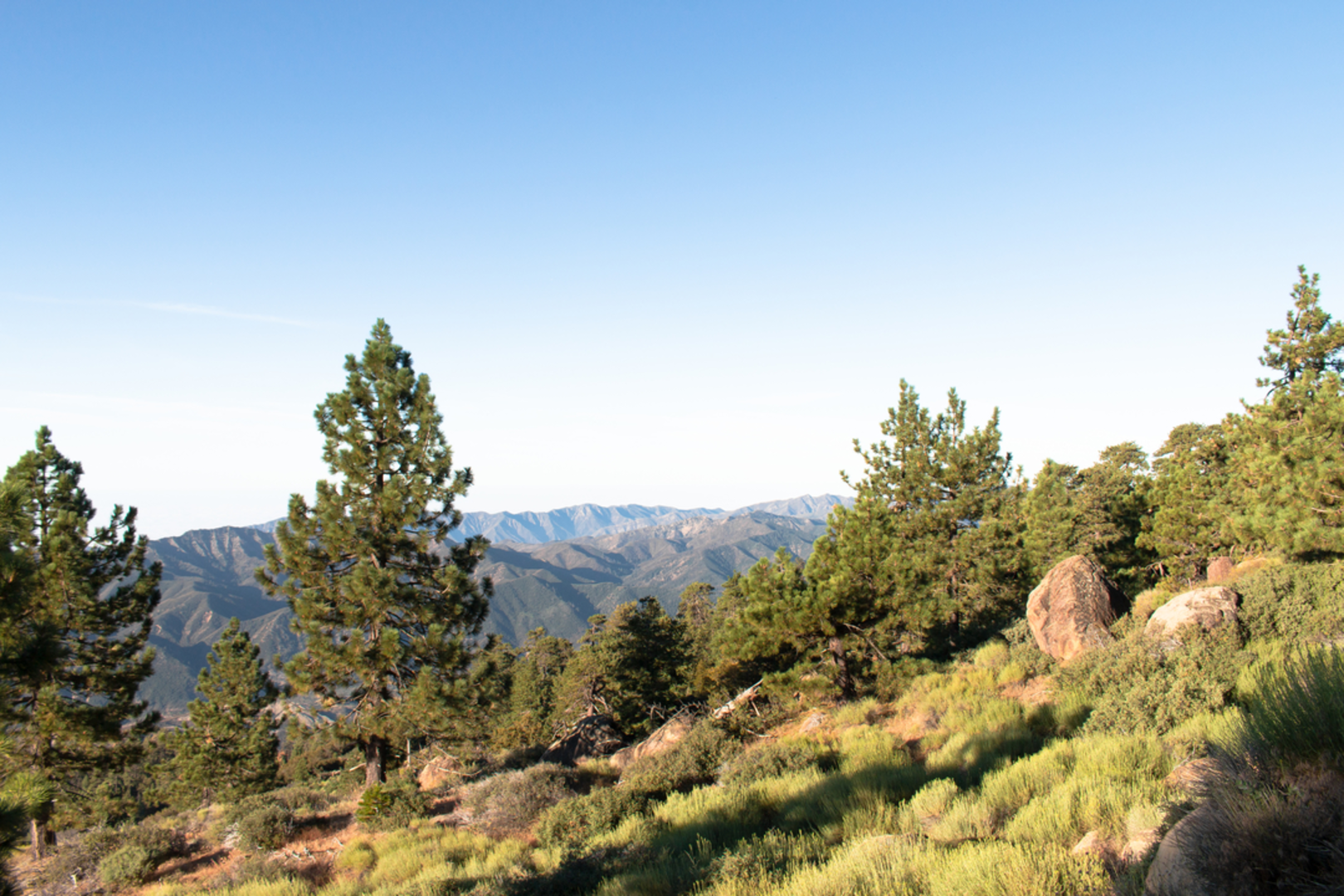 An image depicting the trail Thorn Point Trail and its surrounding area.