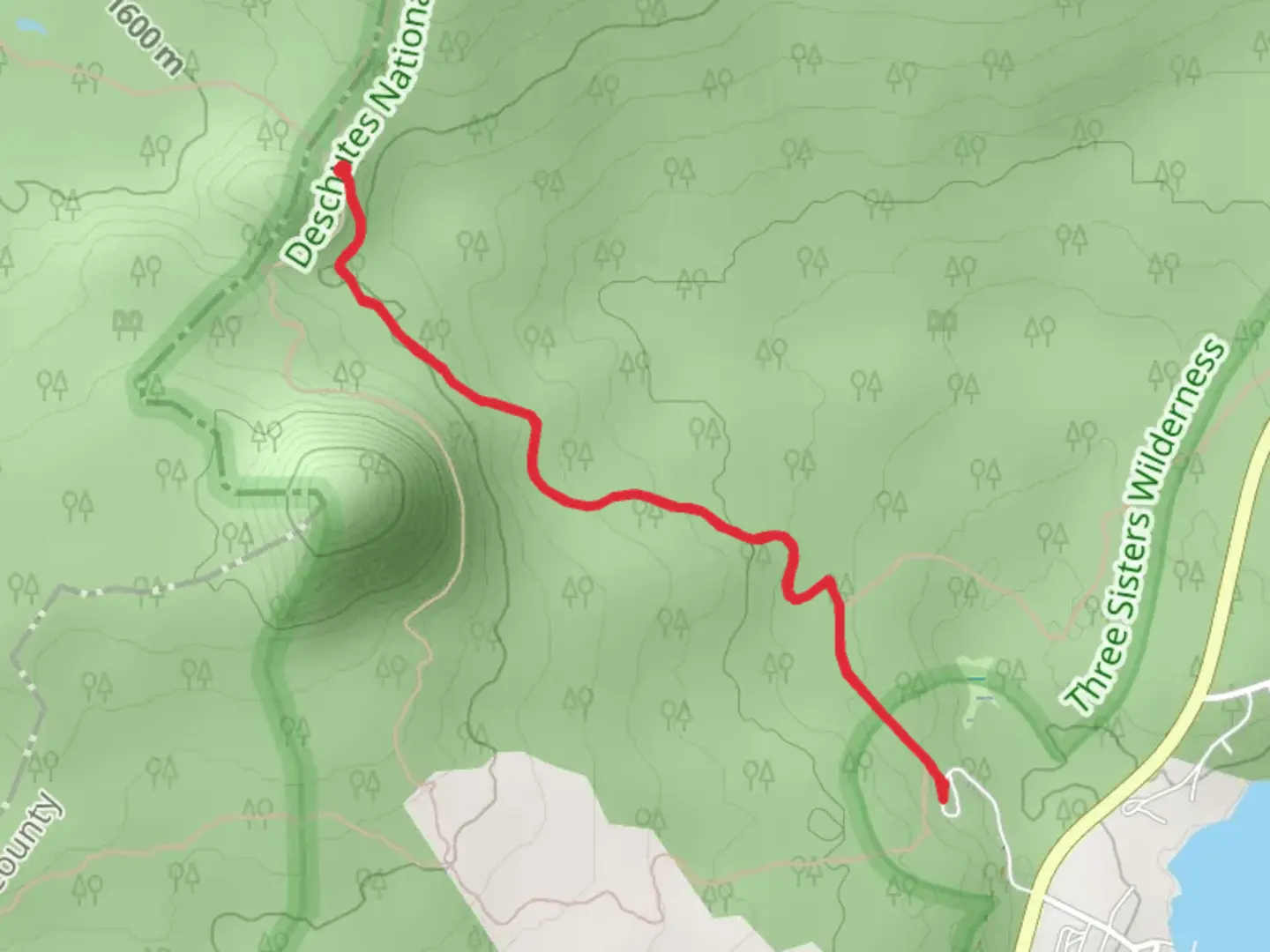 An image depicting the trail Horse Lake Trail and its surrounding area.