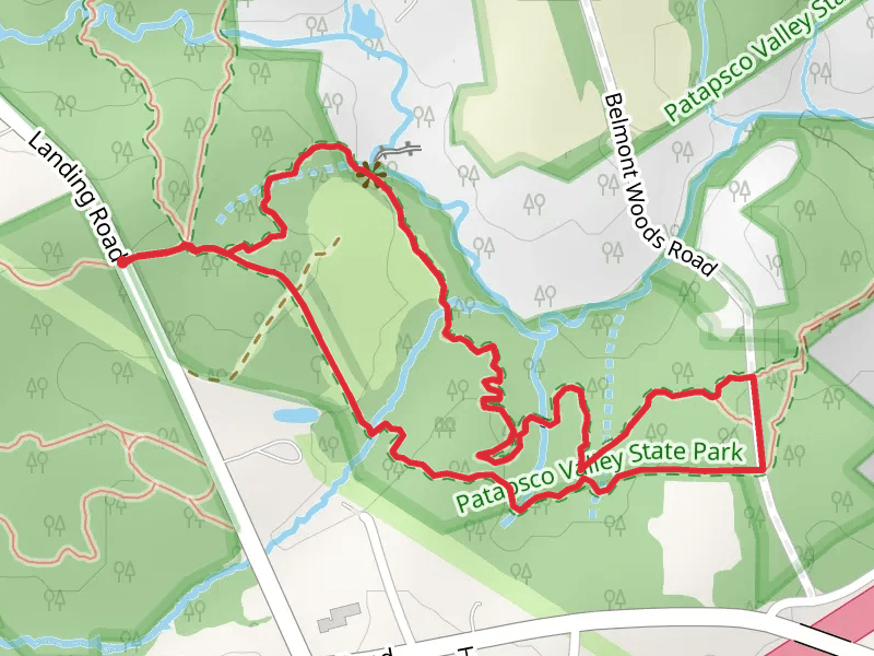 Nacho - Belmont Loop Trail