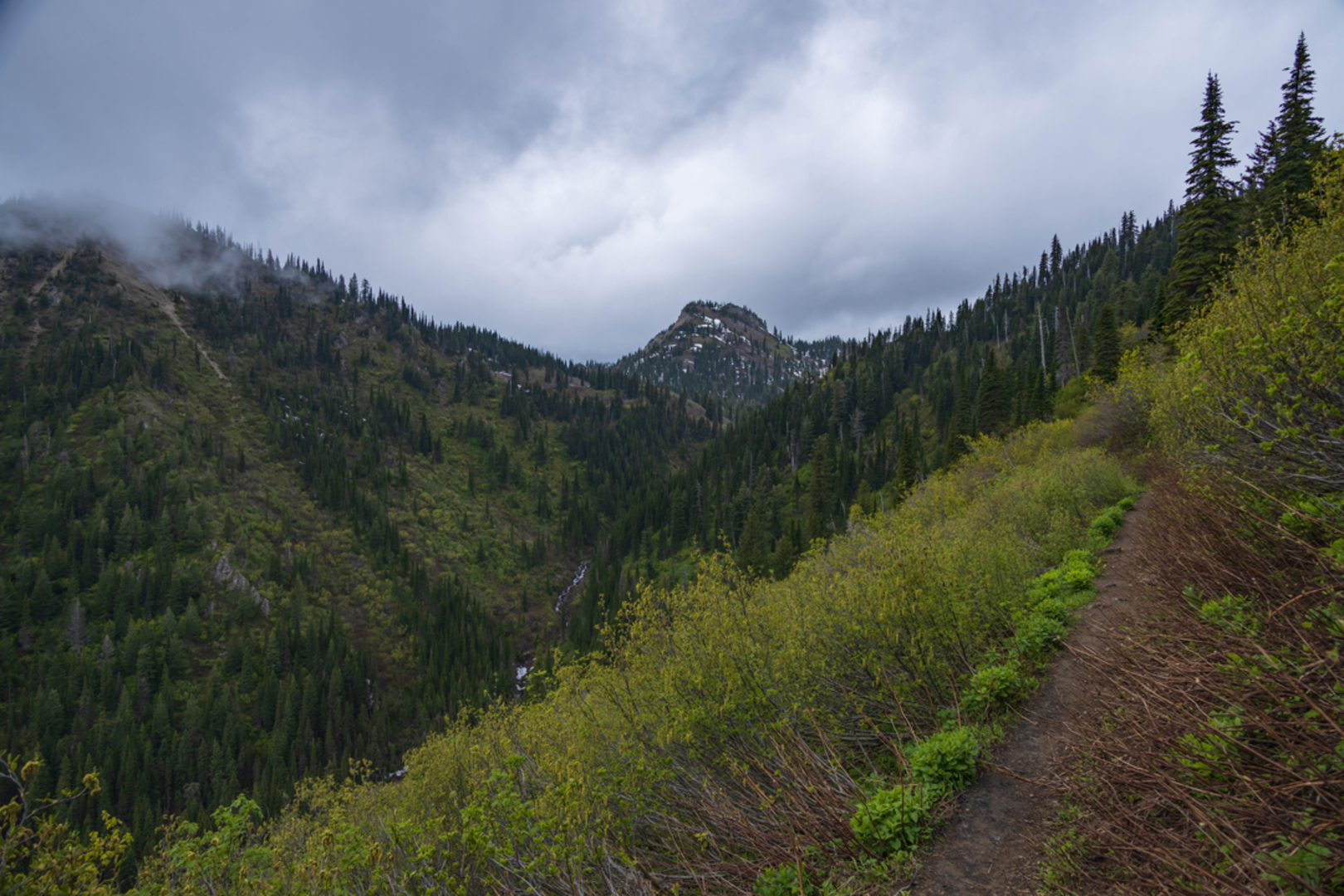 An image depicting the trail Strawberry Lake Trail and its surrounding area.