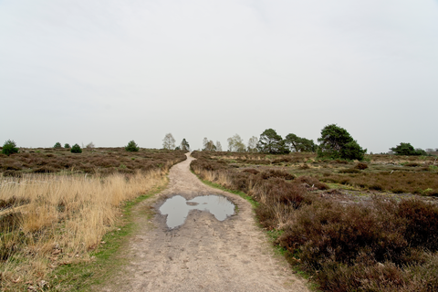Heerde, Hattem and Hellendoorn Loop