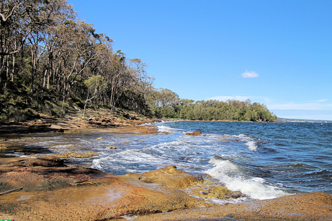 Wangi Circuit Walking Track