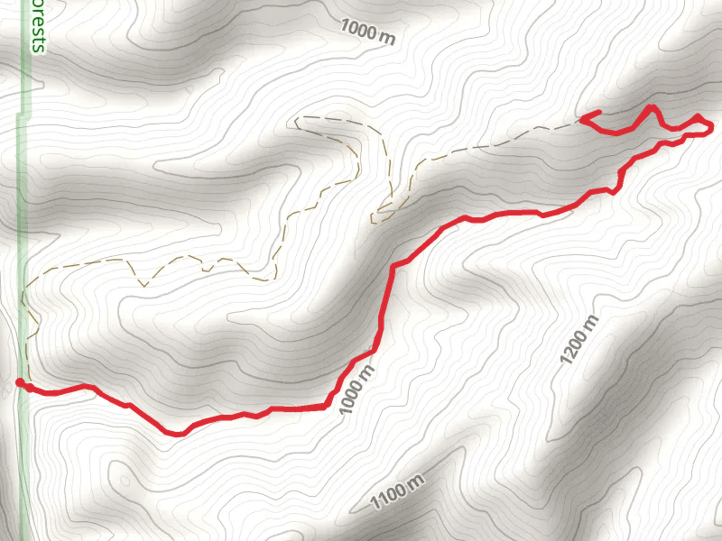 Sand Mountain Trail from Little Sand Creek Road