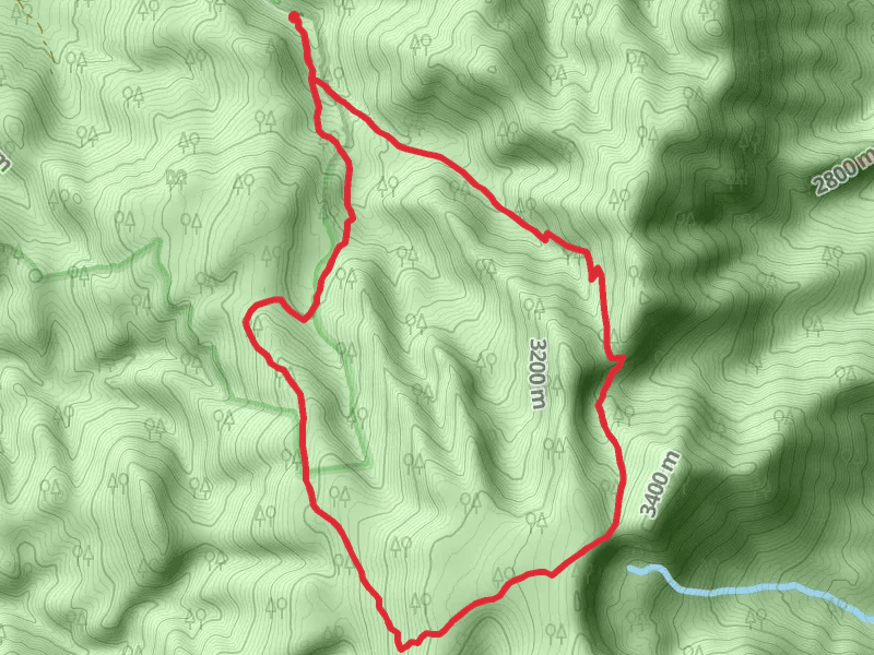 Toiyabe Crest Trail and Stewart Creek Loop